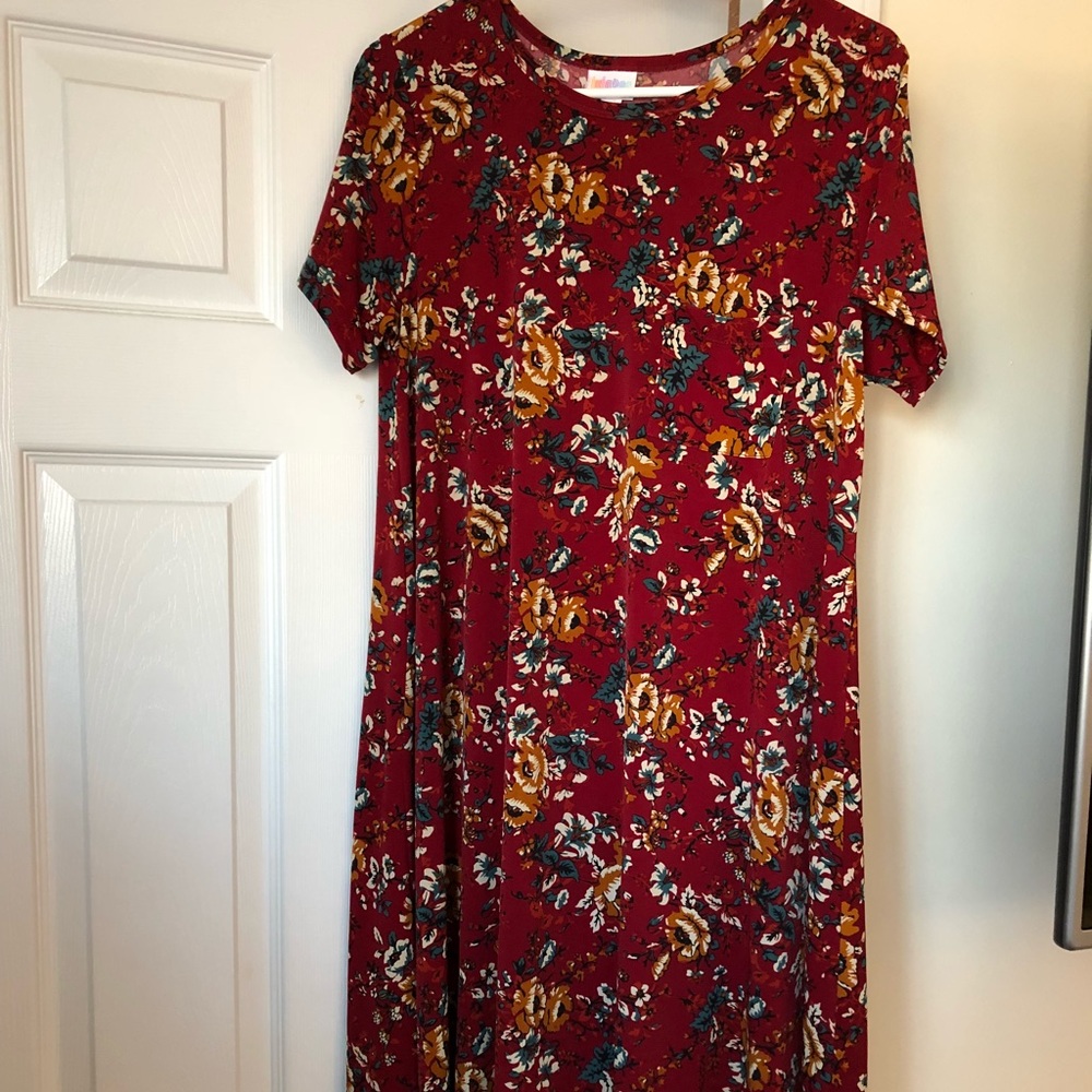 LulaRoe Carly dress
